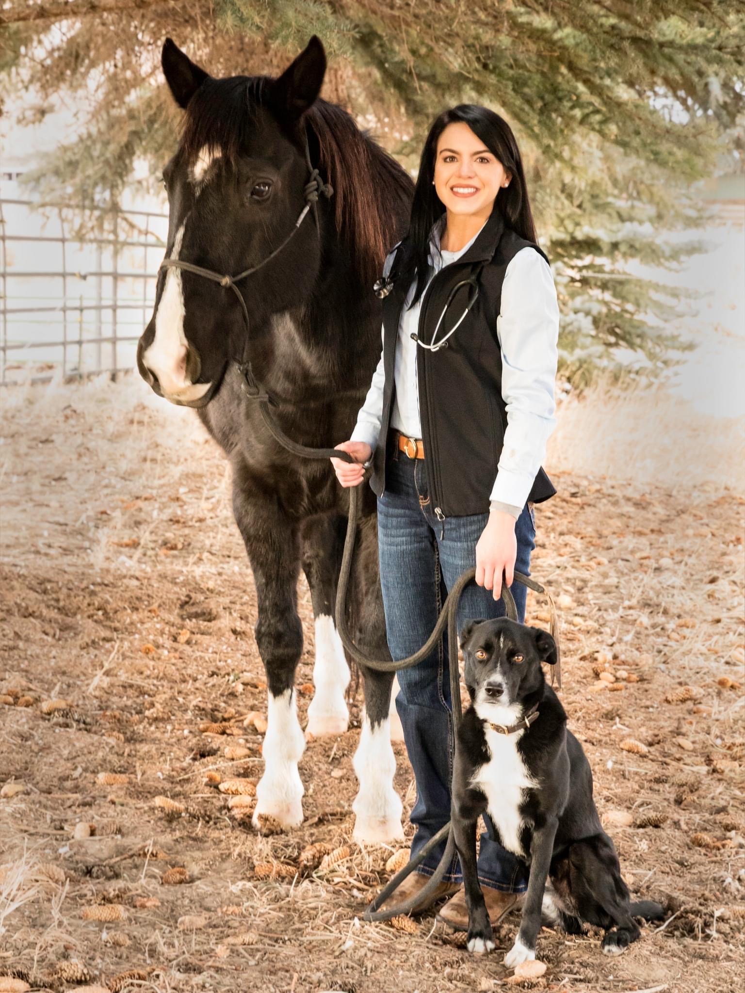 Yellowstone Veterinary Hospital Cody, WY